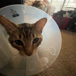 Meet your Posher, Klarissa